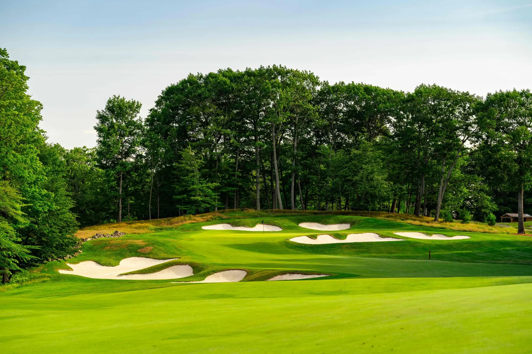 Bunkers guarding a green set against a stand of tall pines