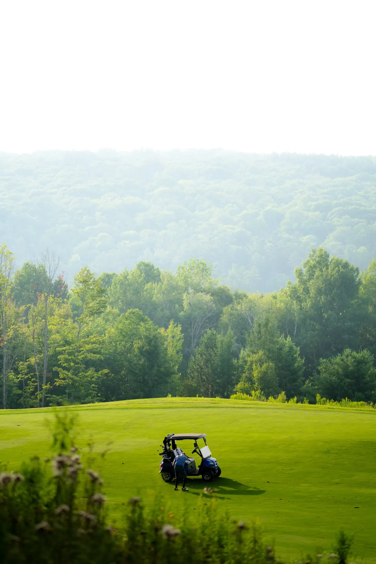 A golfer at his cart on a fairway with forested hills behind