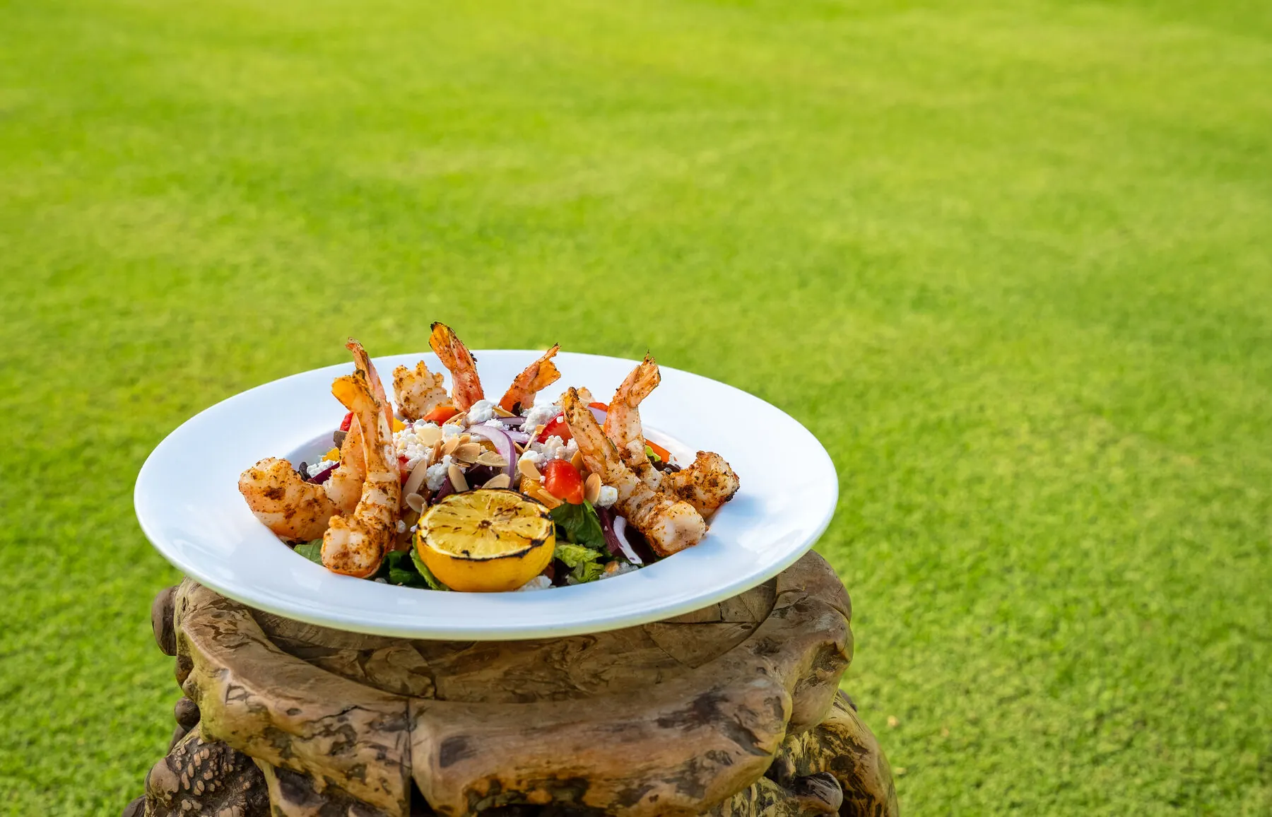 Plated shrimp dish at Coral Creek Club