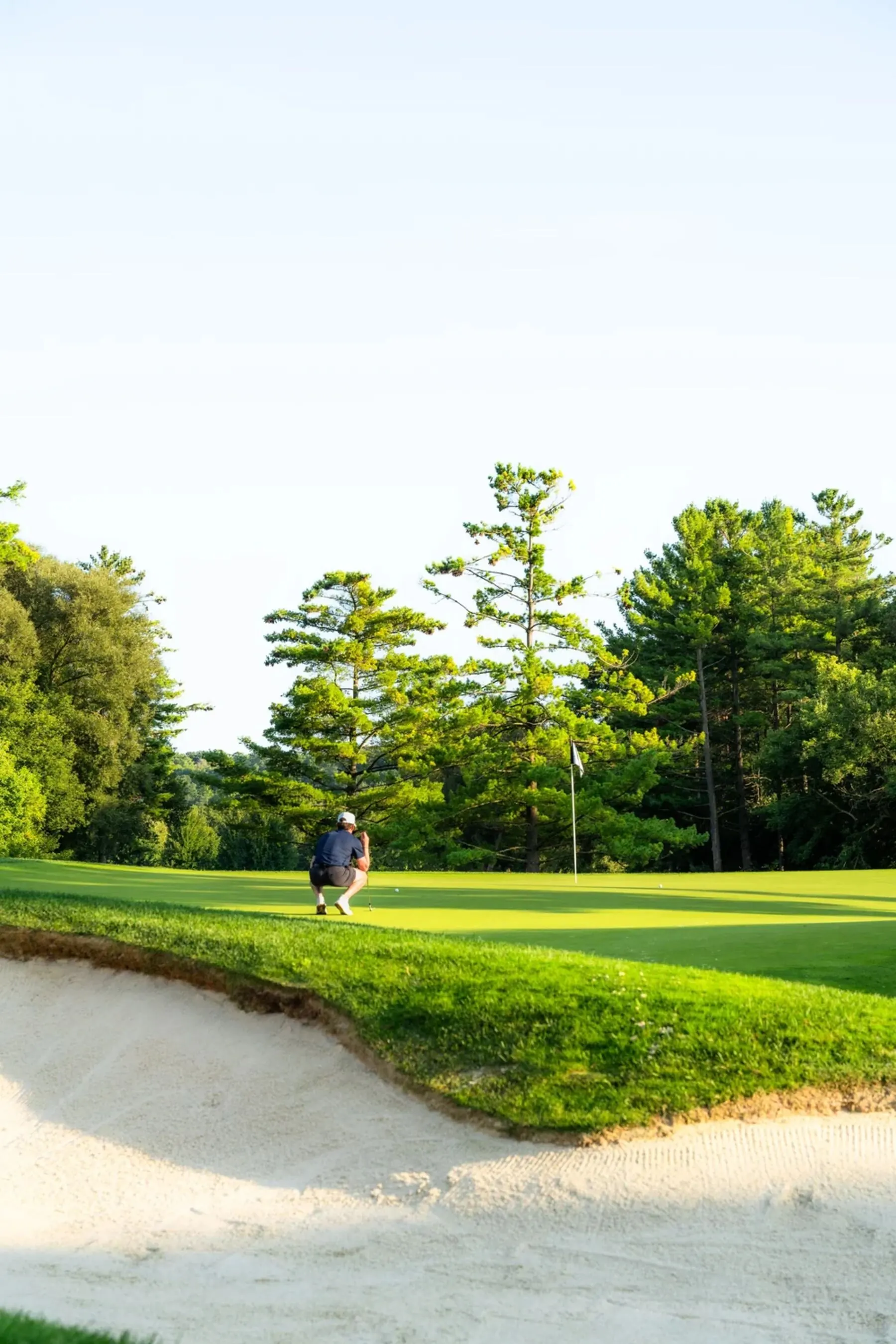Golfer lining up a putt beneath pines at Deer Ridge