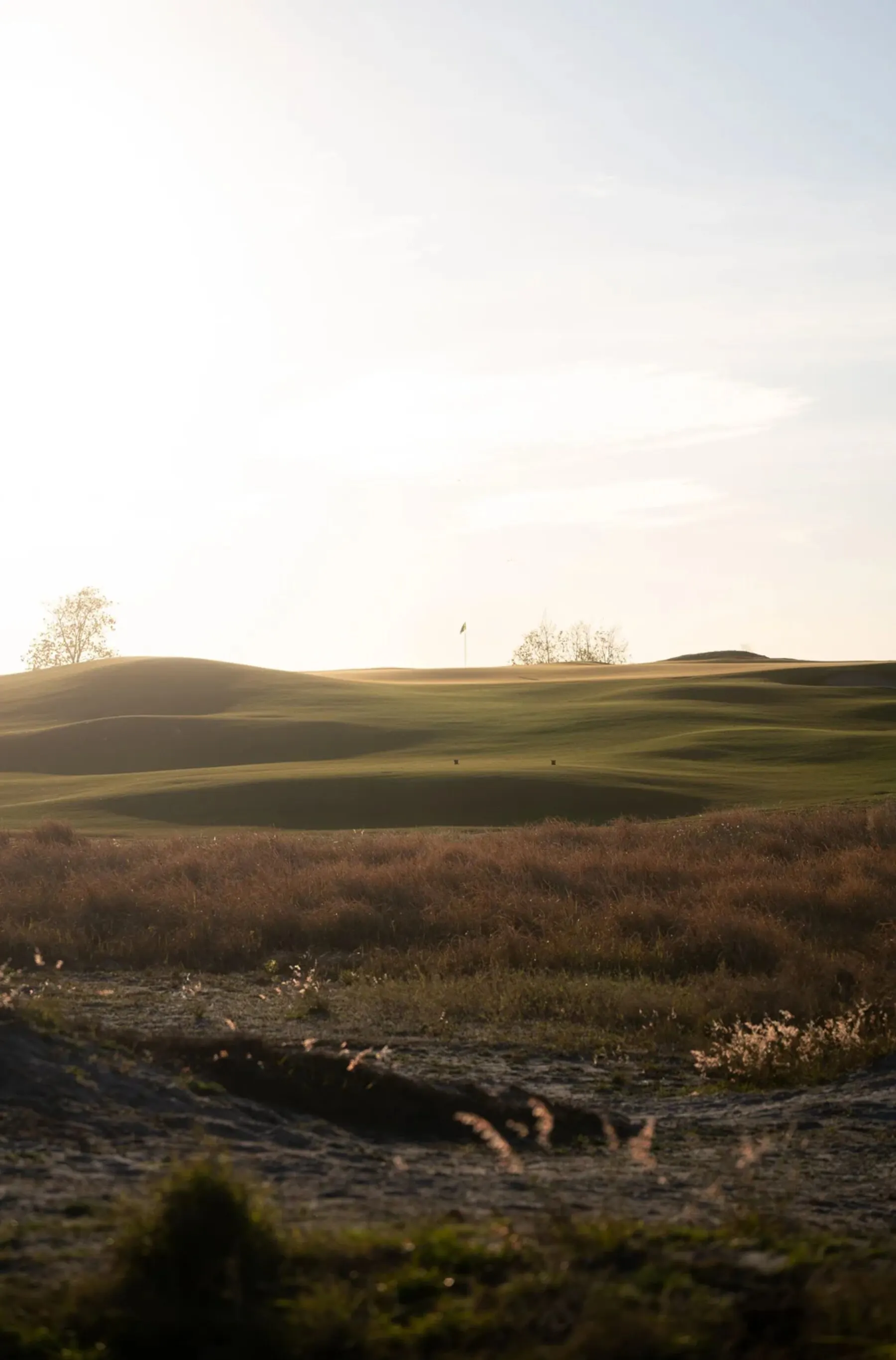 Flag on the dunes at golden hour at Streamsong