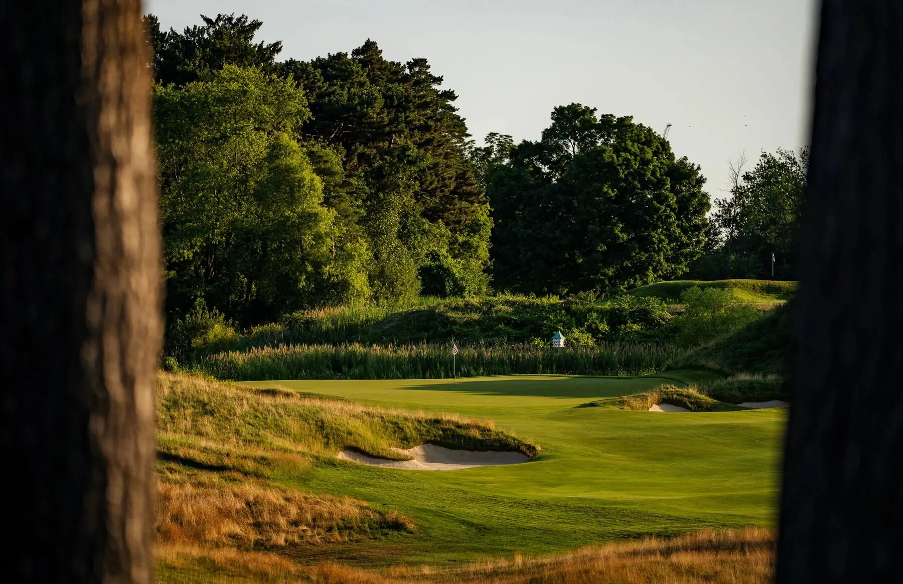 Golfers at sunset at Toronto Golf Club